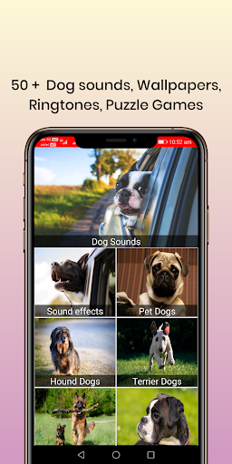 Android application 50 Dog sounds screenshort