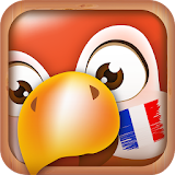 Learn French | Translator icon