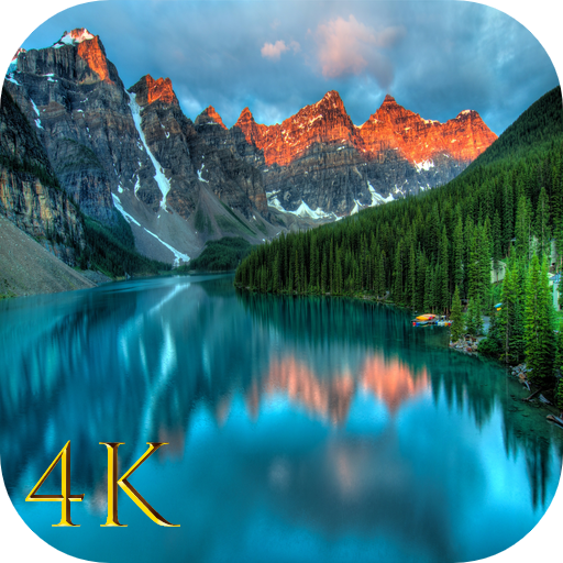 Walify - 4k, HD Wallpapers App logo