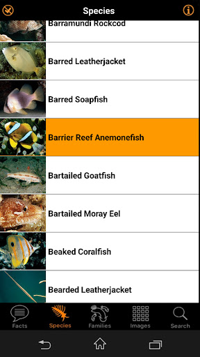 Marine Fish ID Gt Barrier Reef Screen 3