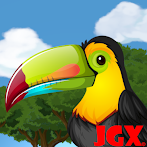 Fly Bird