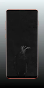 Black Wallpaper HD & 4K