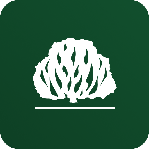 SEGUNDA IPB ARACRUZ logo