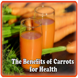 The Benefits Of Carrot icon