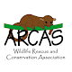 Arcas AR Download on Windows