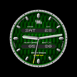 Icon image LMwatch Forest hybrid