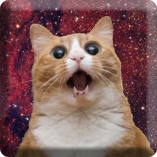 Cats In Space HD Wallpapers logo