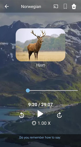 Learn Norwegian. Speak Norwegi Screen 3