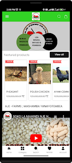 aje farms