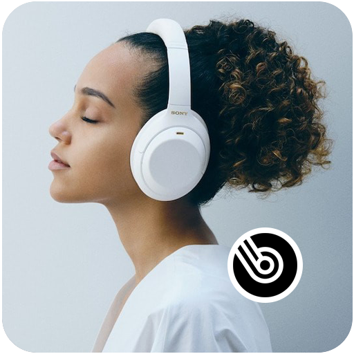 Yoruba Bible Player logo