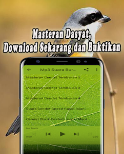 Cendet Gacor MP3 Offline