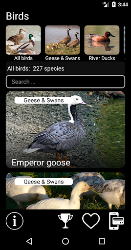 Android application Birds of North America: Decoys screenshort