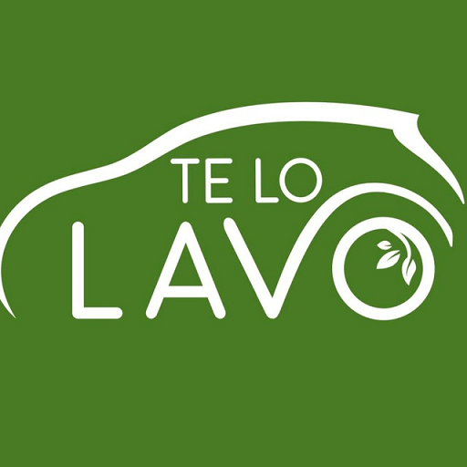 Te lo lavo-Franquiciado logo