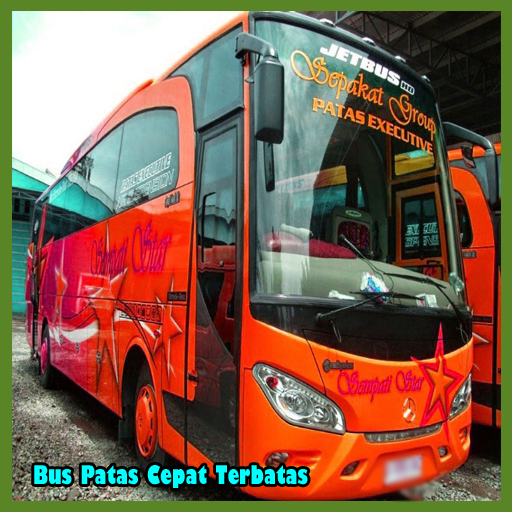 Bus Patas Wallpaper logo