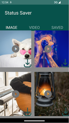 Status, Video, Image Saver Screen 3
