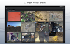 screenshot of Site Audit Pro