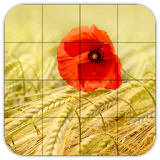 Tile Puzzles · Fields icon