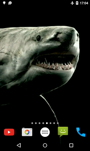 Android application Shark 4K Video Live Wallpaper screenshort