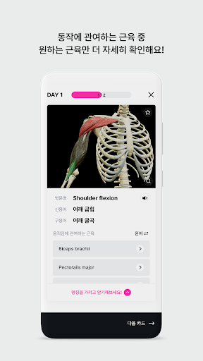 아나토미마스터 - 이파마스터가 만든 해부학 암기앱 Screenshot