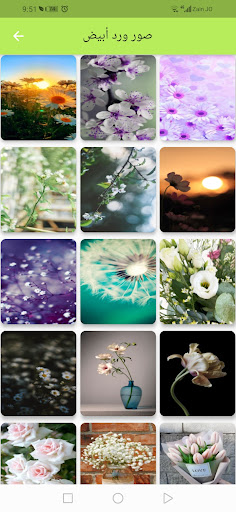 خلفيات ورد Screen 2