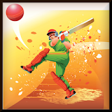 Cricket Score and Schedule icon