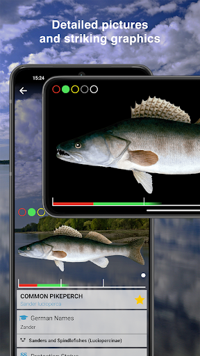 Fishguide Brandenburg Screen 3