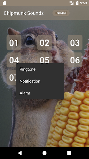 Chipmunk Sounds Screen 2