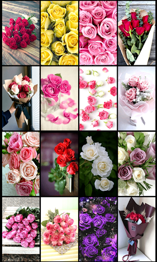 Android application Rose Mobile Wallpapers screenshort