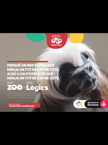 Captura de Pantalla 7 Guix. Elements Acció Educativa android