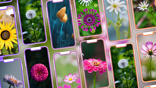 Android application Cool Flower Wallpapers 4K | HD screenshort