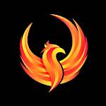 Cover Image of Download Phoenix Fitness Training  APK