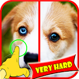 Find Difference Dog Games icon