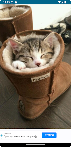 Android application Random Cute Cat screenshort