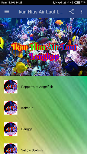 510 Ikan Hias Air Laut Angelfish Gratis Terbaik