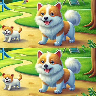 Find Differences Expert apk