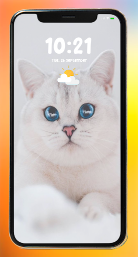 Cat Wallpaper Screen 2