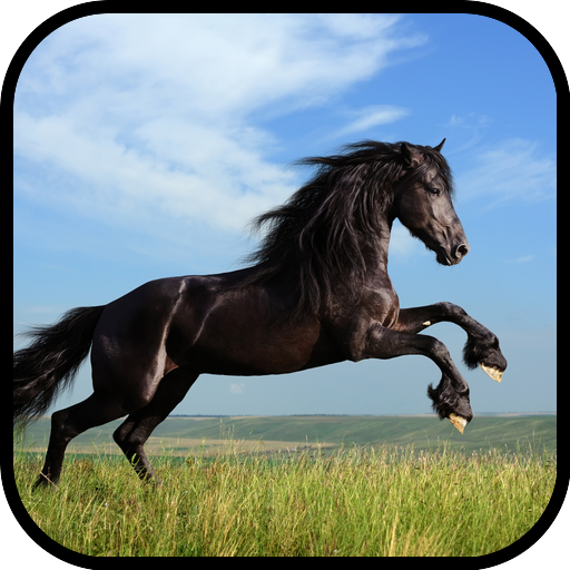 Horse Wallpaper logo