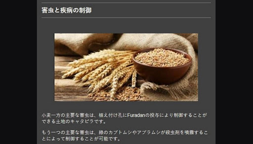 super wheat cultivation