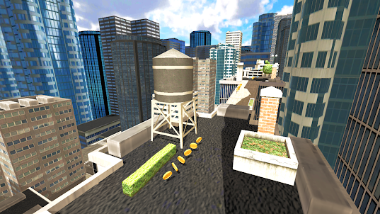 Horse Riding Rooftop