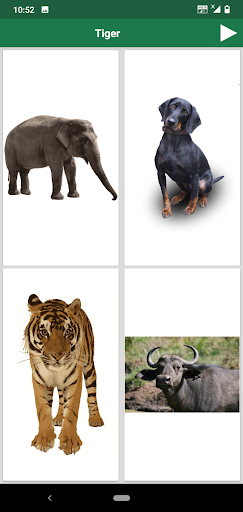 English Animals and Birds Quiz Screen 3