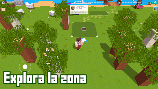 Vista previa de la aplicación