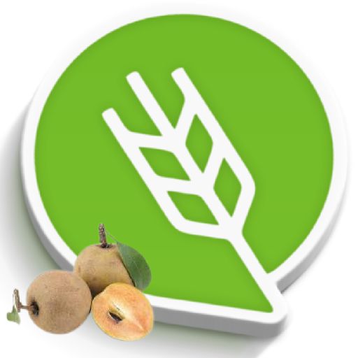 चिकू लागवड #Agrownet™ logo