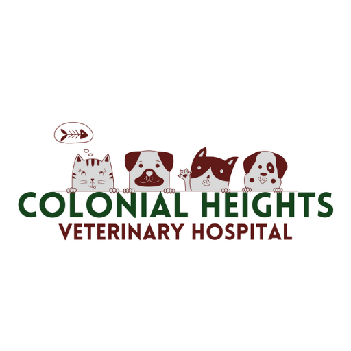 Bilmar Veterinary Services