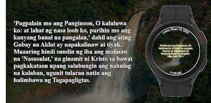 Screenshot na larawan