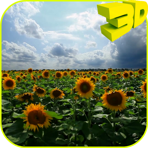 Sunflowers 3D Live Wallpaper  Icon