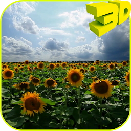 Sunflowers 3D Live Wallpaper ikonjának képe