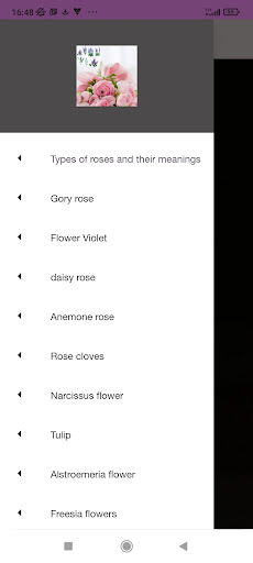 Types of roses Screen 2