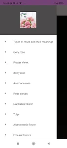 Types of roses