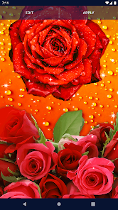 3D Red Rose Live Wallpaper – Apps on Google Play