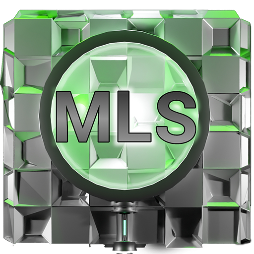 InternNaija-MLS logo